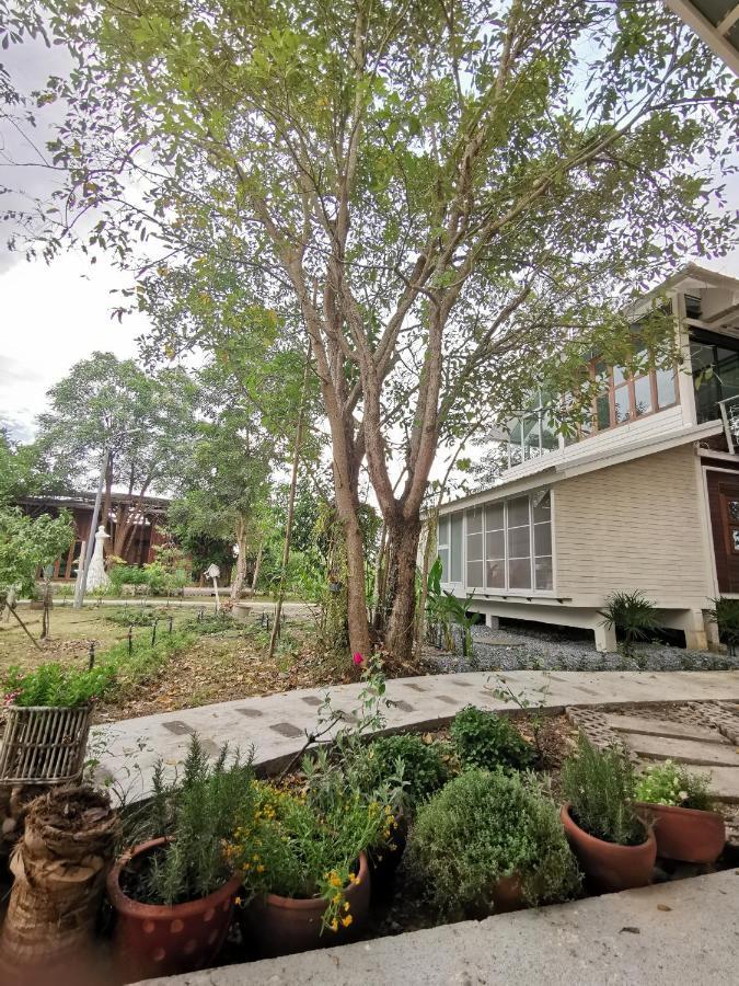 Baangaimuan Bed & Breakfast Lamphun Dış mekan fotoğraf